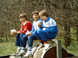 0DIA 1986 RAVA C1